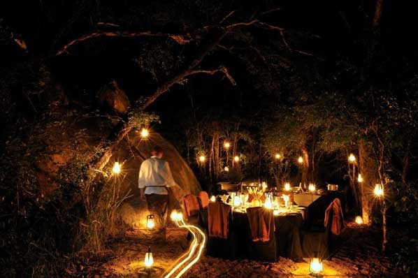 Night Bush Dinner Night Bush Dinner