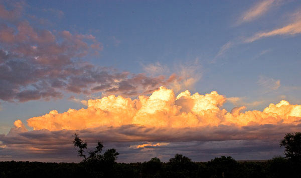 Sabi Sabi Landscape Sabi Sabi Landscape